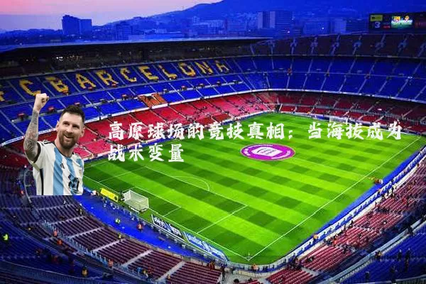 高原球场的竞技真相:当海拔成为战术变量